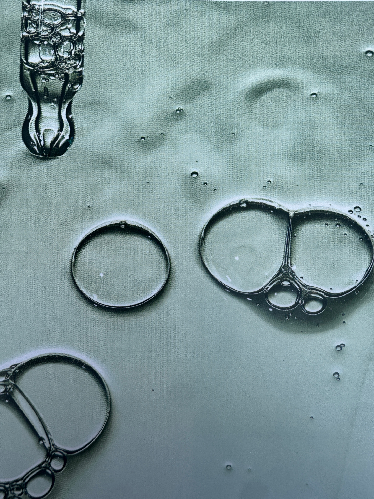 Textured glass and botanical details on a soft sage surface